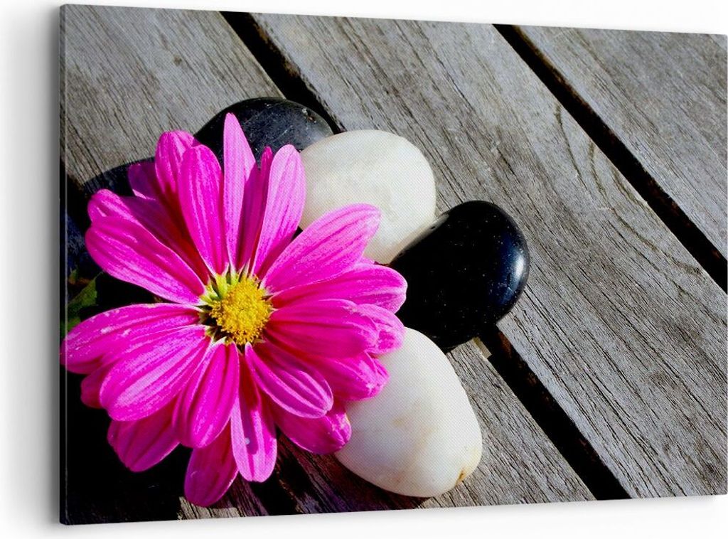 Bild auf Leinwand - Leinwandbild - Stein Blume Blütenblätter Chrysantheme - 120x80cm - Wand Bild - Wanddeko - Leinwanddruck - Bilder - Kunstdruck...