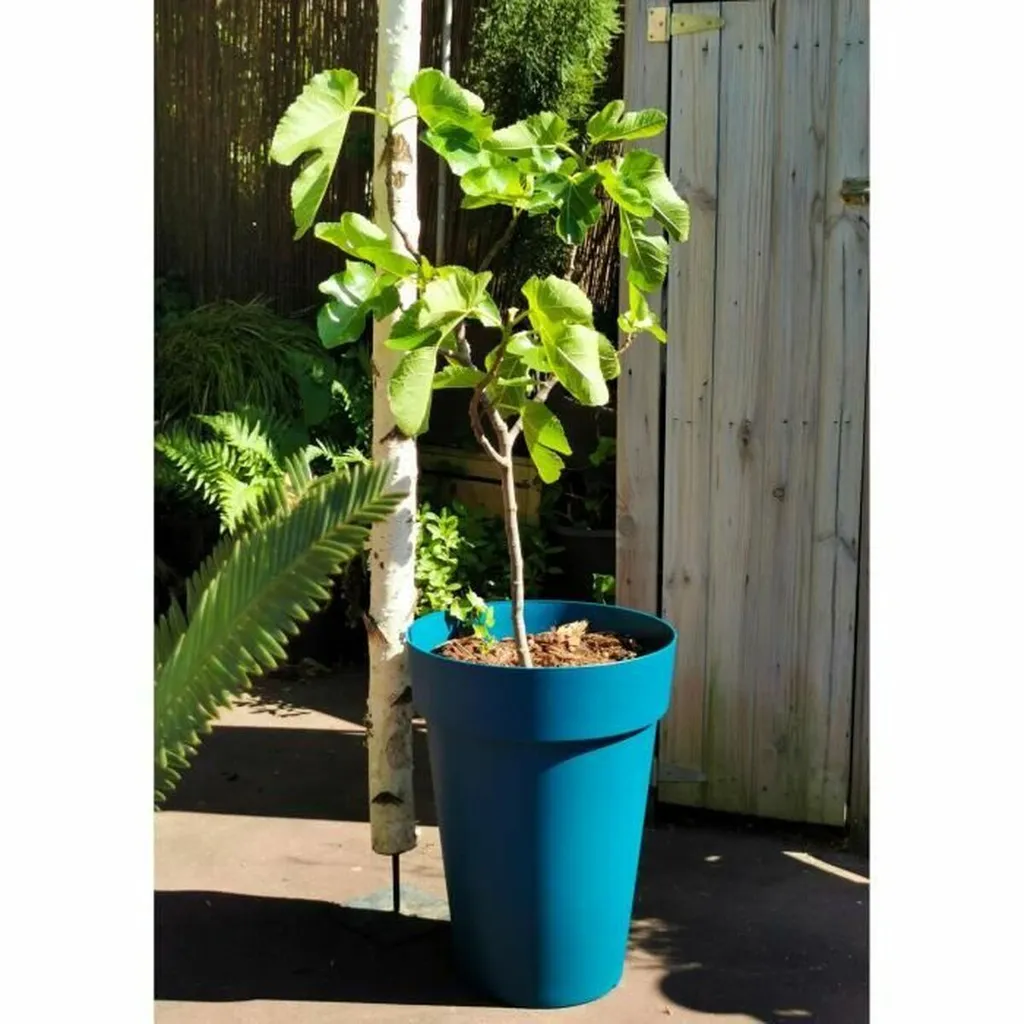 Jardinière extérieure Riviera Soleilla bleue pour plantes et arbustes