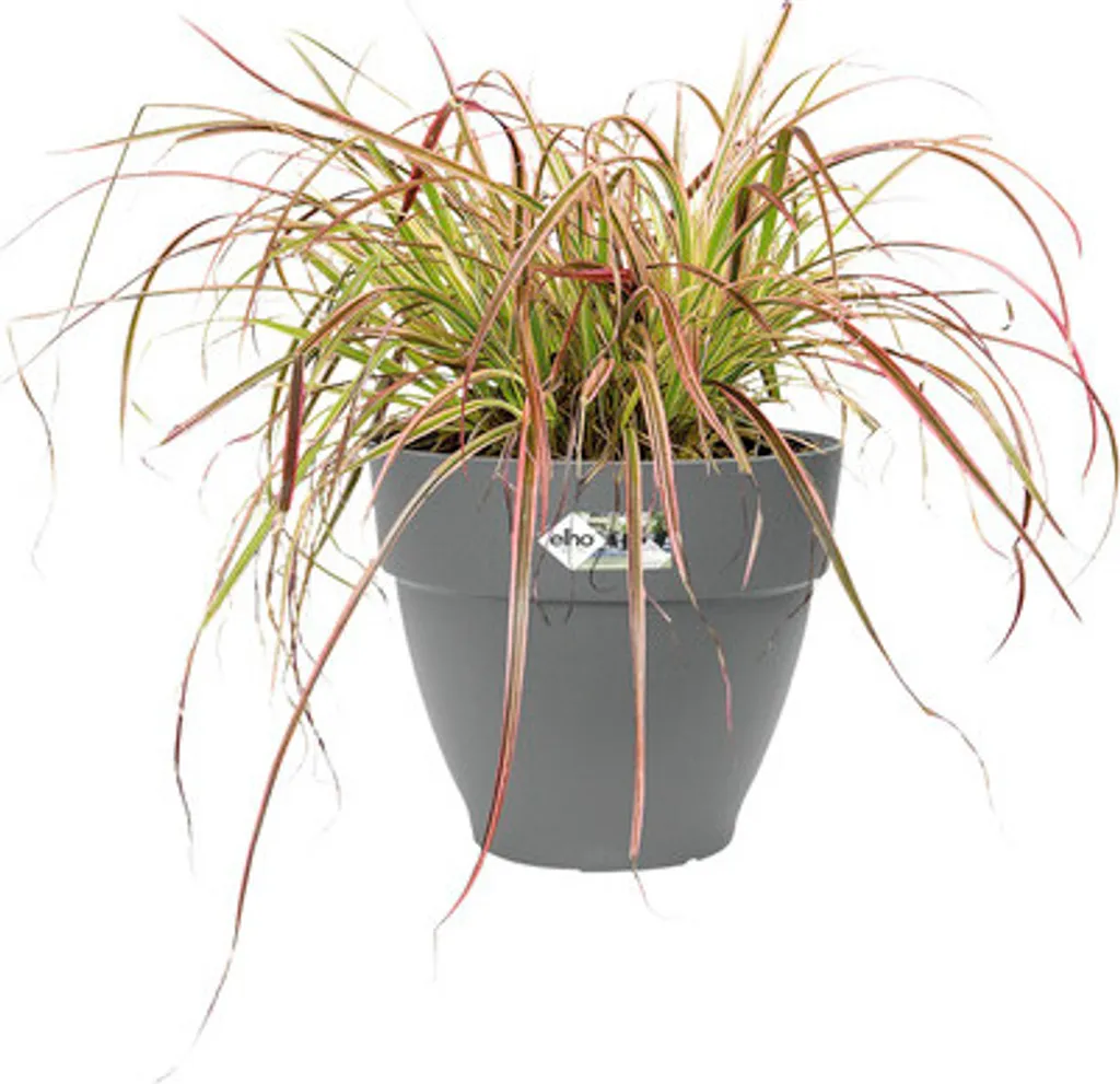 Pot de Fleurs de Balcon 40cm Anthracite Elho Vibia Campana Extérieur