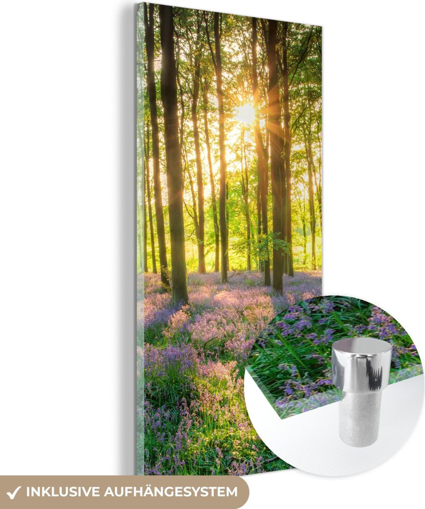 MuchoWow Glasbilder - Bilder auf Wandbild - Foto auf Glas Frühling - Wald - Sonne 40x80 cm Wanddekoration aus Glas - Acrylglasbild - Acrylbilder -...