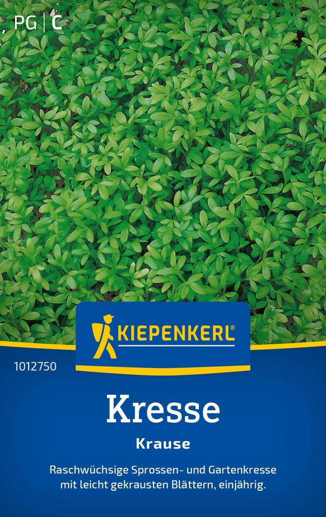 Kiepenkerl Kressesamen Krause Lepidium sativum 1 - 2 m²