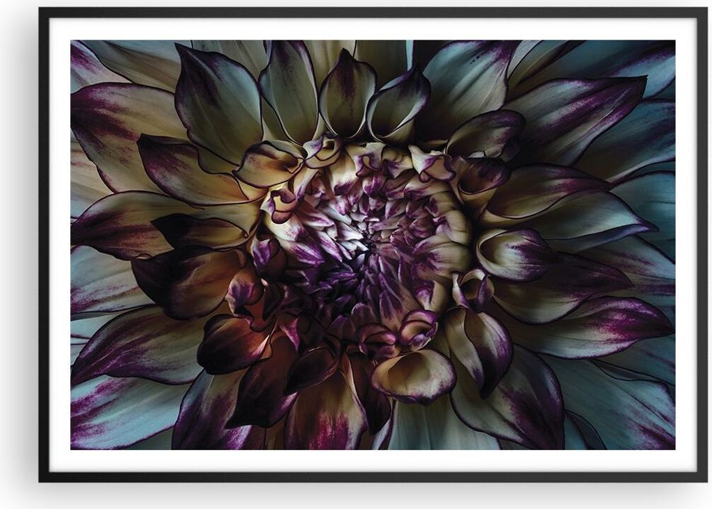 Gerahmtes Poster - Schwarzer Rahmen - Blätter Agave Blume - 100x70 cm - Wand Bild - Wanddeko - Wandbilder - Kunstposter - Wandposter - Bilderrahme...