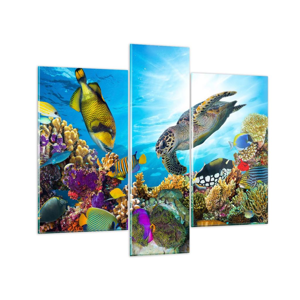 Bilder auf glas - Riff Koralle Fisch - 95x80cm - Glasbilder - Wandbilder - Kunstdruck - zum Aufhängen bereit - Wanddekoration aus Glas - Glas Bild...