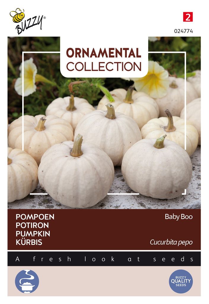 Buzzy Ornamental Kürbis Baby Boo Samen - Ca. 1 gr | Produktbild 