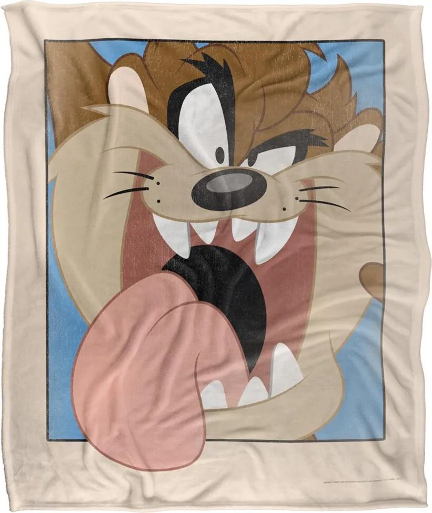 Décoration de Chambre Looney Tunes - Couverture Encadrée TV18738 Cadeau