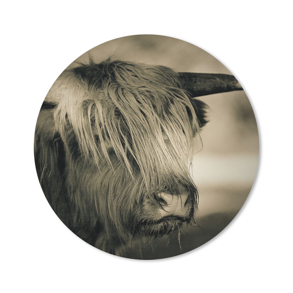 MuchoWow Mauspad Mousepad Schottischer Highlander - Tiere - Haare 30x30 cm - Mousepads - Maus Mat - Pad - Mausunterlage - Tischunterlage - Schrei...