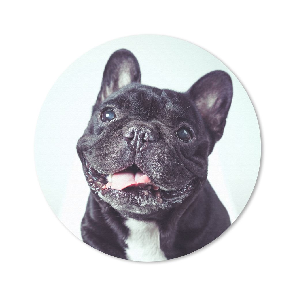 MuchoWow Mauspad Mousepad Französische Bulldogge - Schwarz - Stuhl 20x20 cm - Mousepads - Maus Mat - Pad - Mausunterlage - Schreibtischmatte