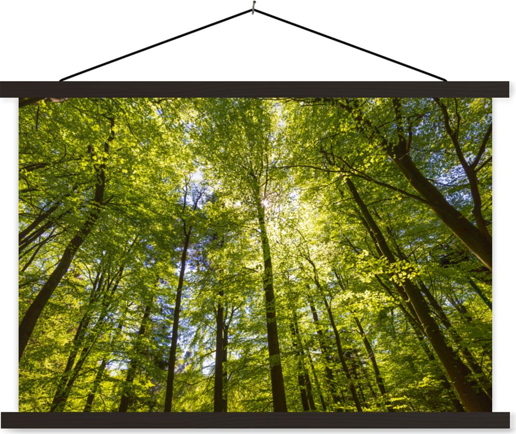 MuchoWow Textilposter Wald - Sommer - Laub 60x40 cm mit schwarzem Rahmen - Hölzernes