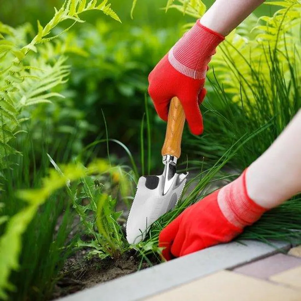 Sécateur spécial rempotage et entretien des plantes vertes d'intérieur