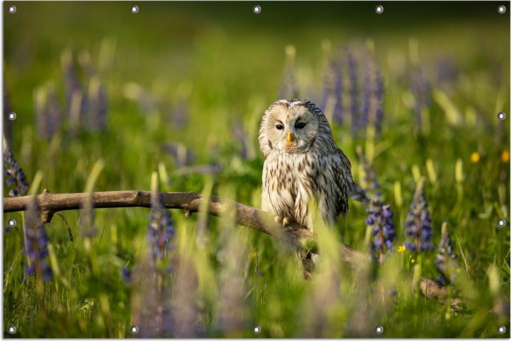 Wallario Outdoor-Poster für Garten oder Balkon, Motiv Kauz im Blütenmeer, in ca. 120 x 180 cm