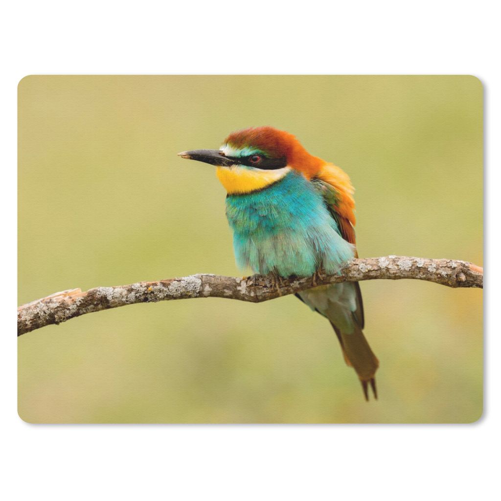 MuchoWow Mauspad Mousepad Vogel - Bienenfresser - Tiere 40x30 cm - Mousepads - Maus Mat - Pad - Mausunterlage - Anti Rutsch