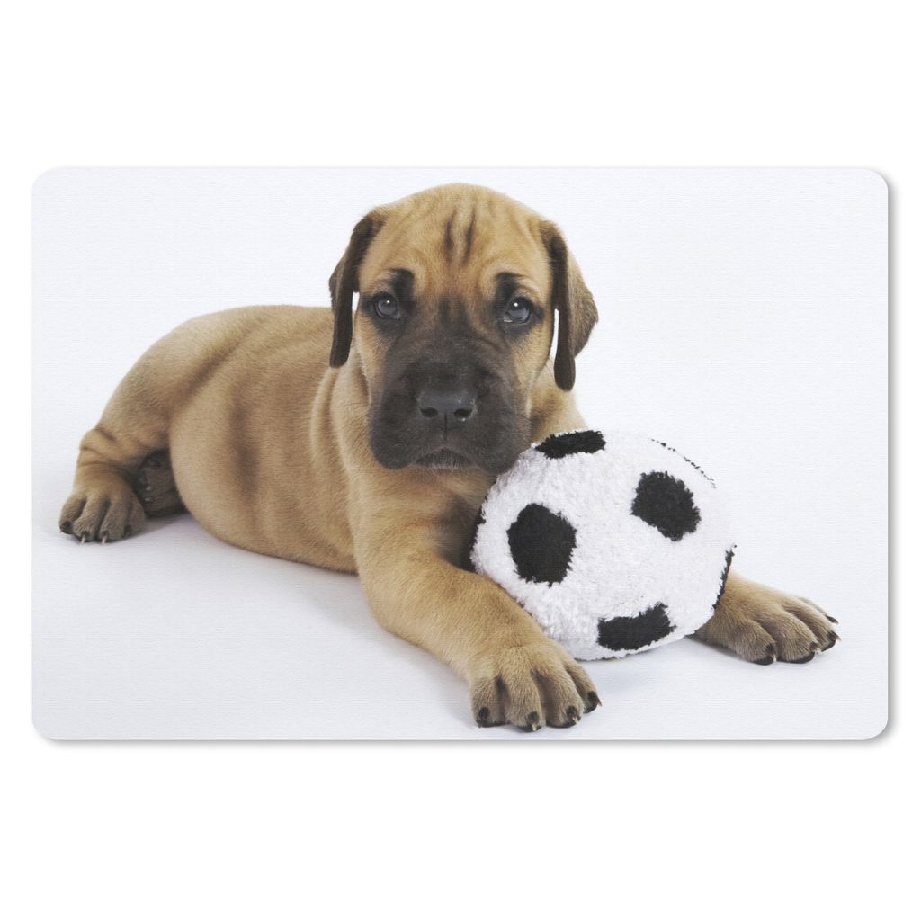 MuchoWow Schreibtischunterlage Ein brauner Welpe mit einem Fußball 60x40 cm - XXL Mauspad - Großes Mauspad