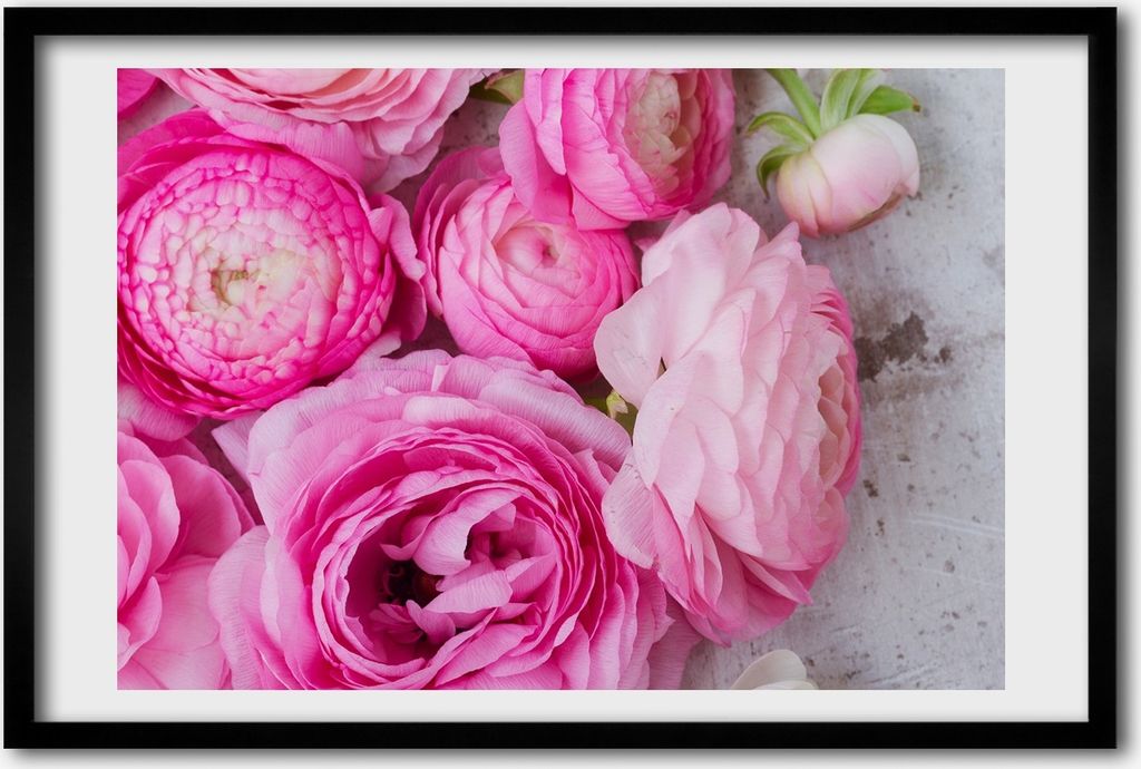 Bild 60x40 MDF-Rahmen, Wandkunst wilde Rosen