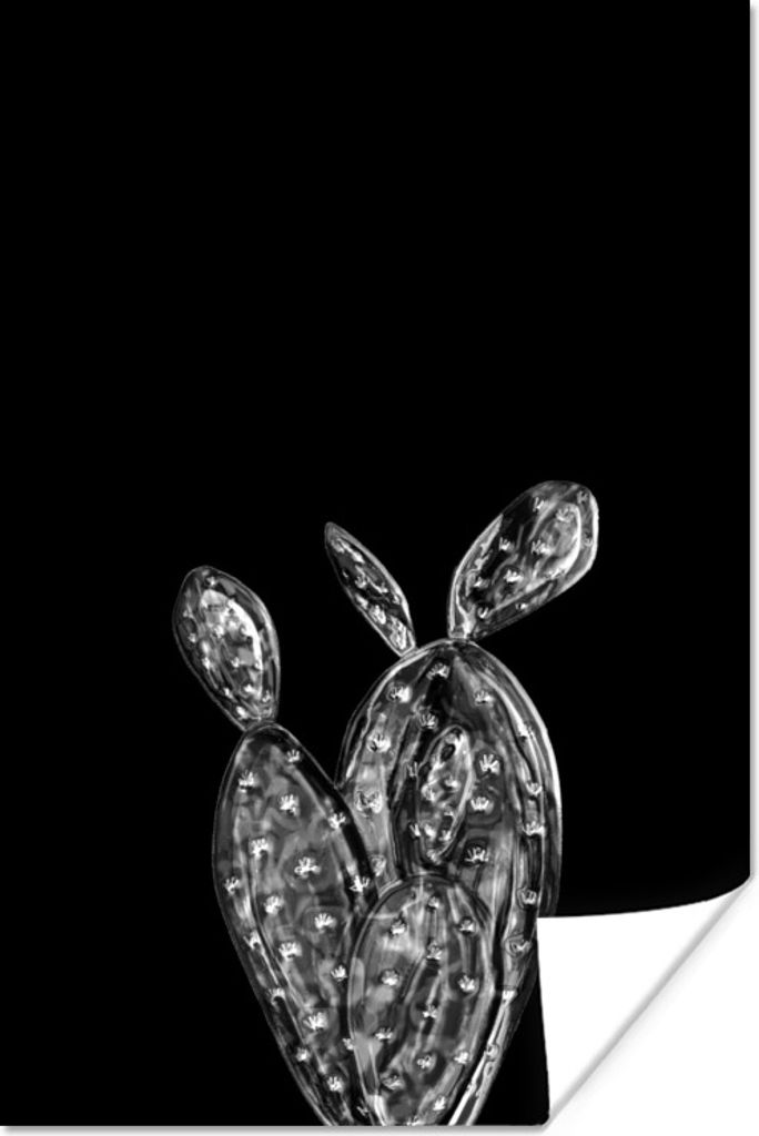 MuchoWow Poster Blätter eines Kaktus auf schwarzem Hintergrund - schwarz und weiß 80x120 cm - Papierdruck