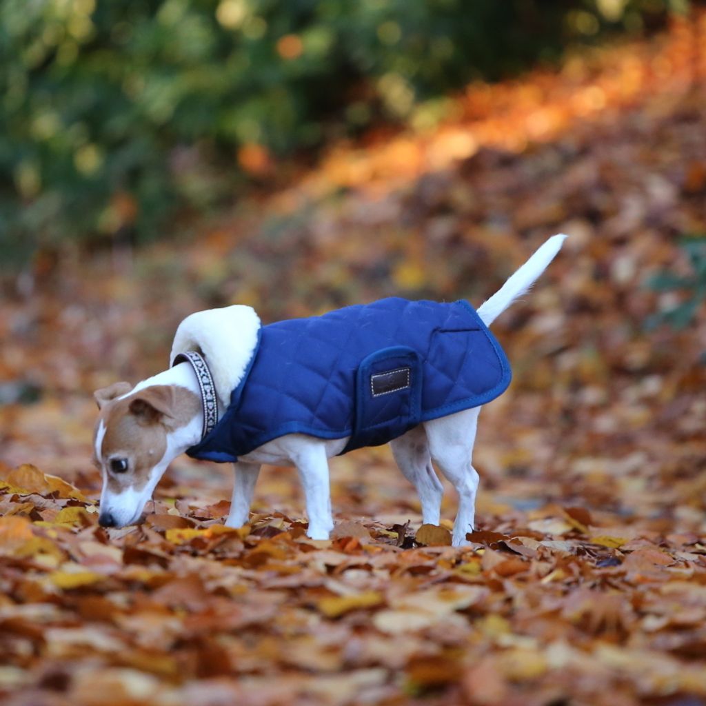 Kentucky Dogwear Hundemantel Original Hundejacke Marine L