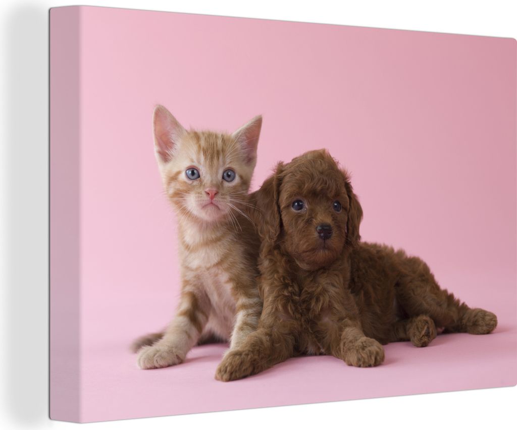 OneMillionCanvasses - Leinwandbilder - 140x90 cm, Katze - Hund - Rosa, Wandbilder Kunstdruck Wanddekoration