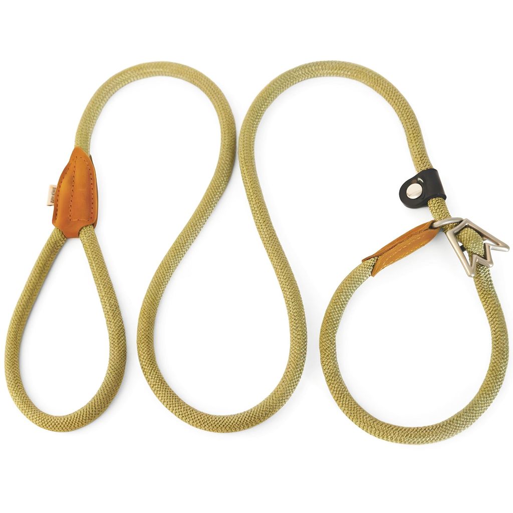 RUDELKÖNIG Retrieverleine Tilda mit Zugstopp – Moxonleine Hundeleine mit Halsband