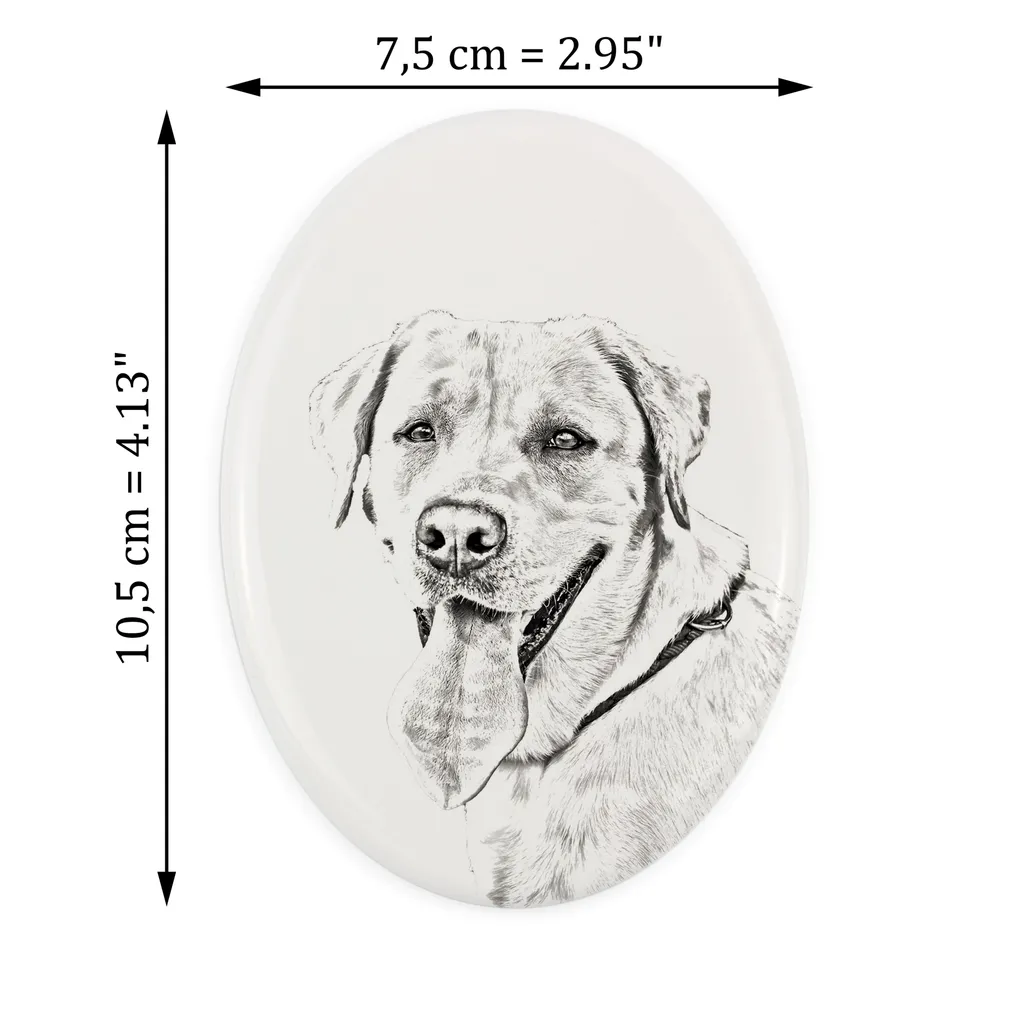 Targa In Metallo Divertente Con Labrador Retriever: Cartello In Latta Vintage Per Bagno, Cucina O Bar (30,5 X 20,3 Cm)