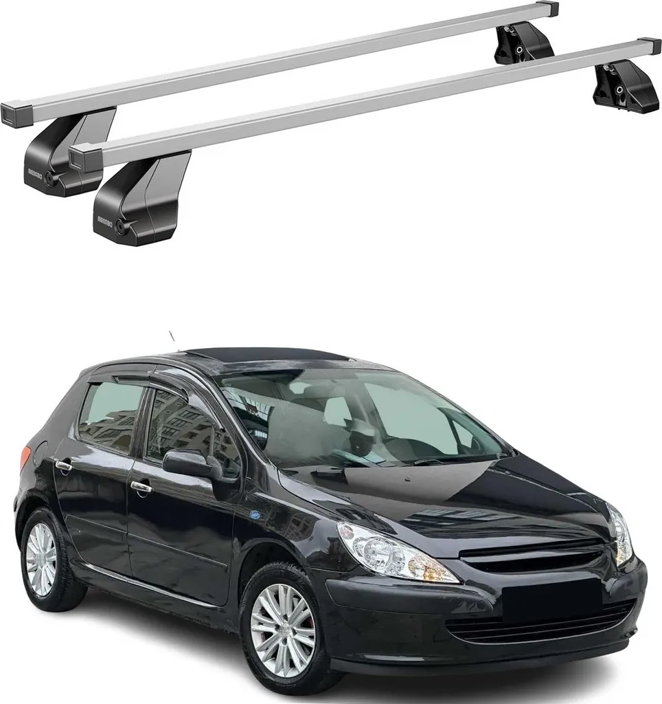 Portapacchi Menabo Peugeot 307 3 Porte 2001-09 Argento Acciaio ABE - 11