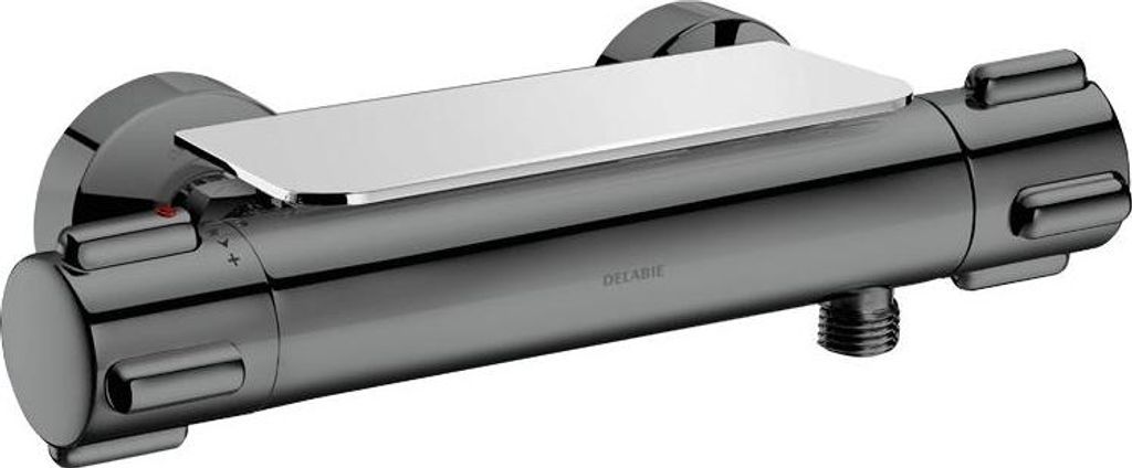 Delabie Ablage für Zweigriff-Thermostat-Brausearmaturen