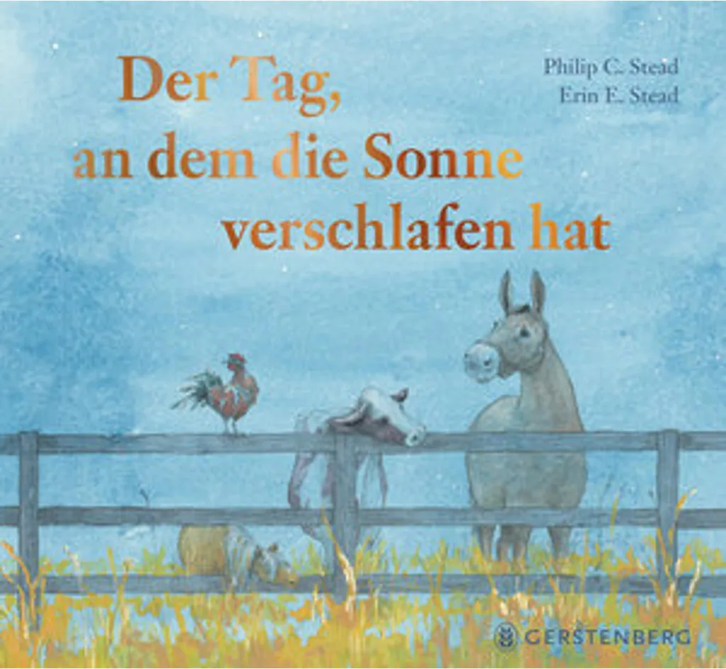 Livre de conte pour enfant Der Tag an dem die Sonne verschlafen hat 21cm