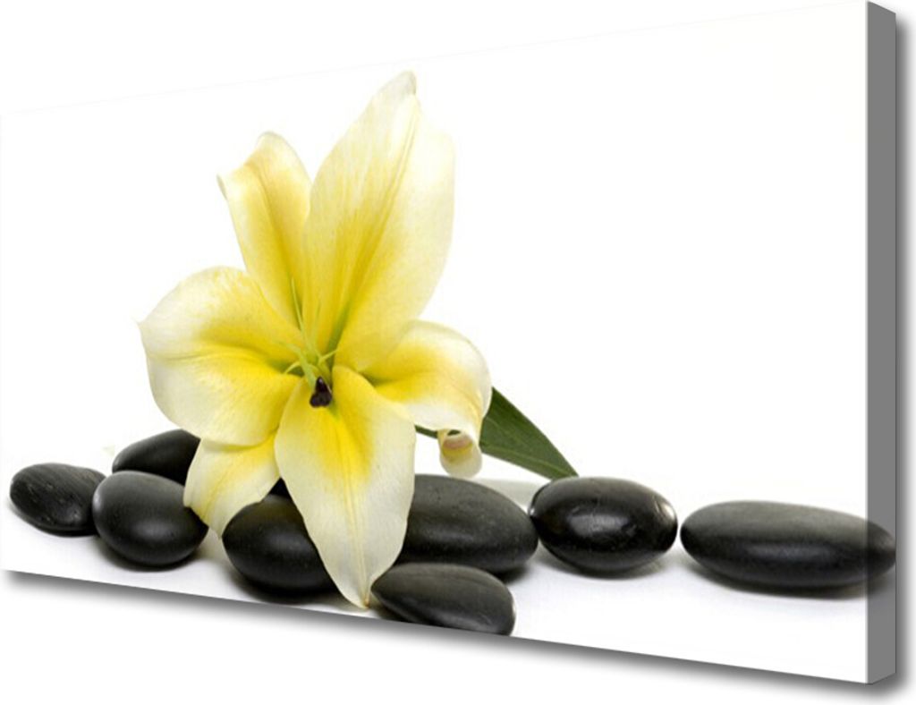 Tulup Leinwand-Bilder 100x50 Wandbild Canvas Kunstdruck Blume Steine Kunst