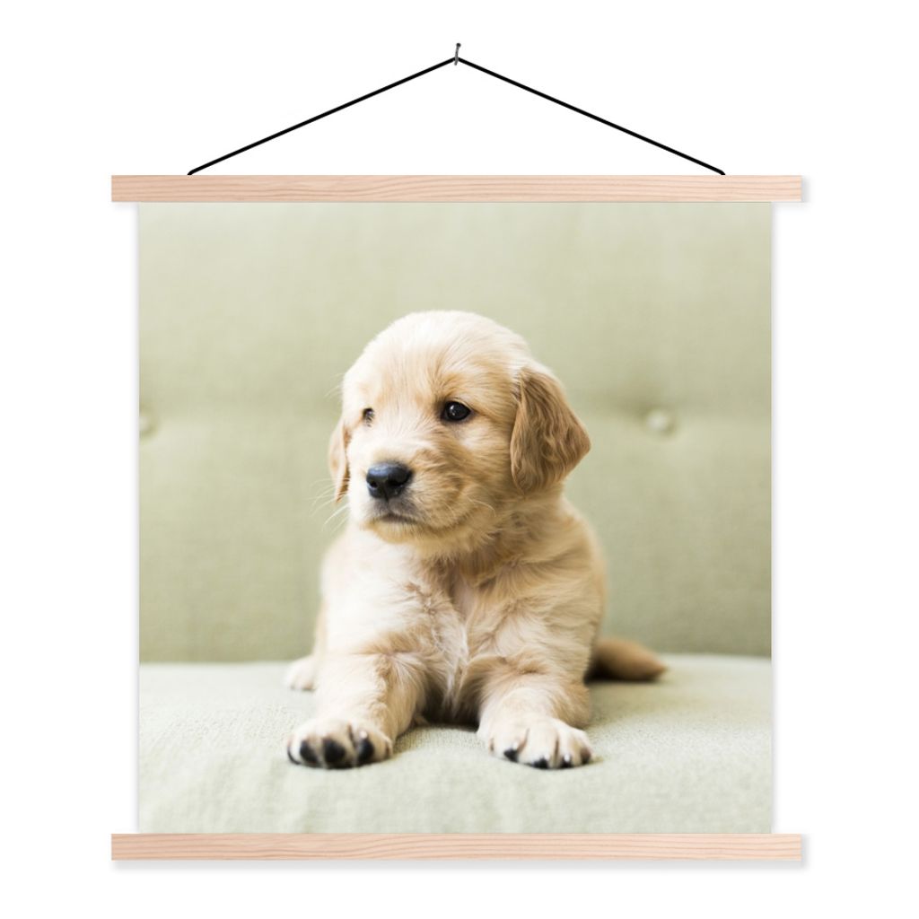 MuchoWow Textilposter Golden Retriever Welpe auf dem Sofa liegend 120x120 cm mit holzfarbenen Rahmen - Textil-Poster
