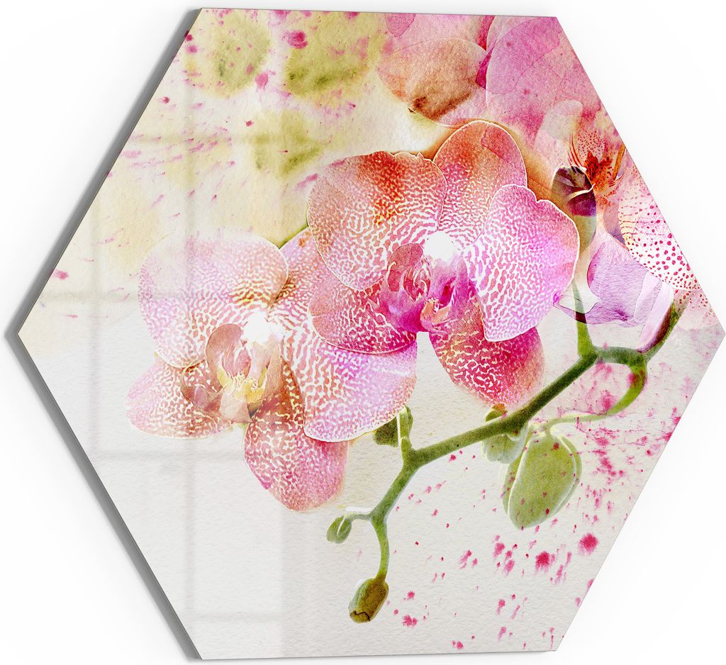 DEQORI Magnettafel Glas 55x48 cm 6-eckig 'Orchideenflüstern' beschreibbar Whiteboard Küche