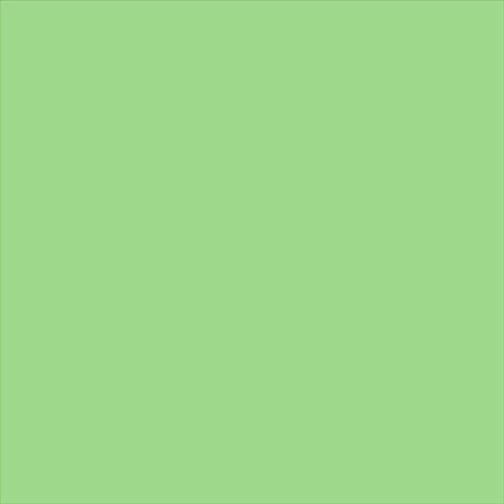 Fond studio papier Vert Pomme 63 - 2,72 x 11 m haute densité sans reflet - 3
