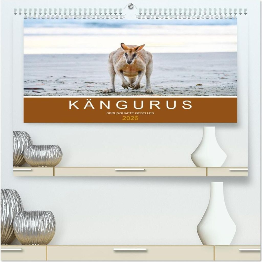 Kängurus, sprunghafte Gesellen (hochwertiger Premium Wandkalender 2026 DIN A2 quer), Kunstdruck in Hochglanz
