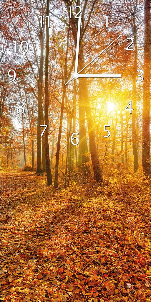 Wallario Design Wanduhr Sonnenuntergang im herbstlichen Wald aus Echtglas, Größe 30 x 60 cm