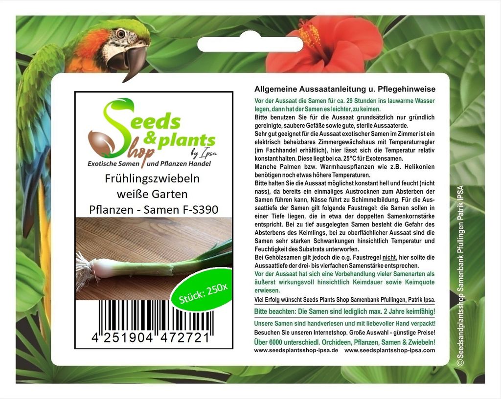 250 Korn Frühlingszwiebeln weiße Garten Pflanzen - Samen F-S390