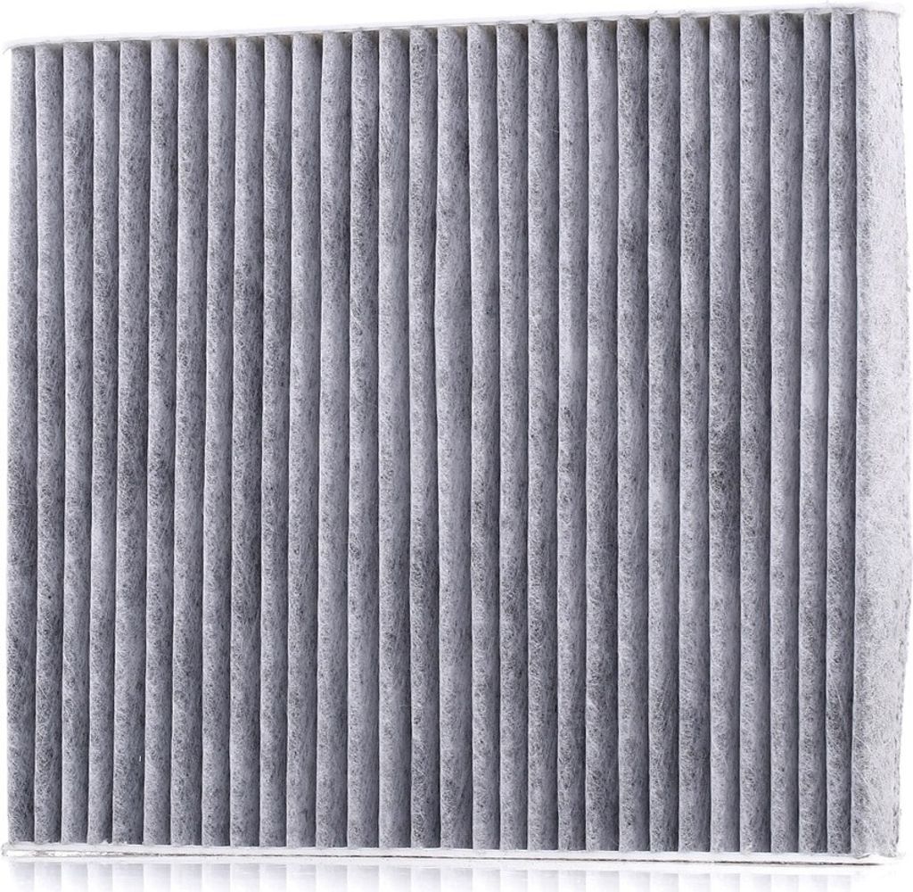 RIDEX 424I0310 - OE 77365763 Innenraumfilter für 500 (312), Panda, KA (RU8), Ioniq (AE), iX35, Tucson (TL), Niro (DE), Sportage (SL), Sportage (QL...