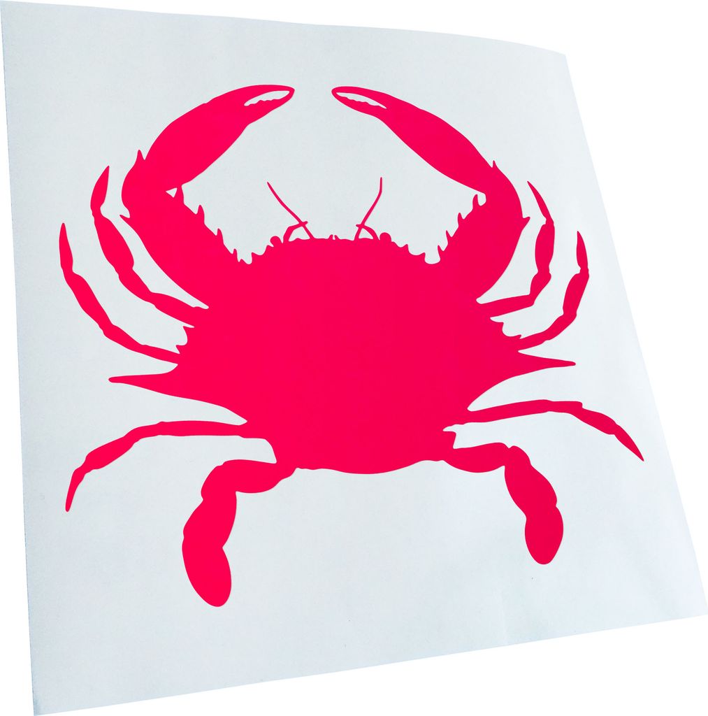 hauptsachebeklebt Kiwistar - Autoaufkleber - Krebs Cancer Heckscheibe - Aufkleber für Auto Kfz Fahrrad, LKW, Truck Mofa