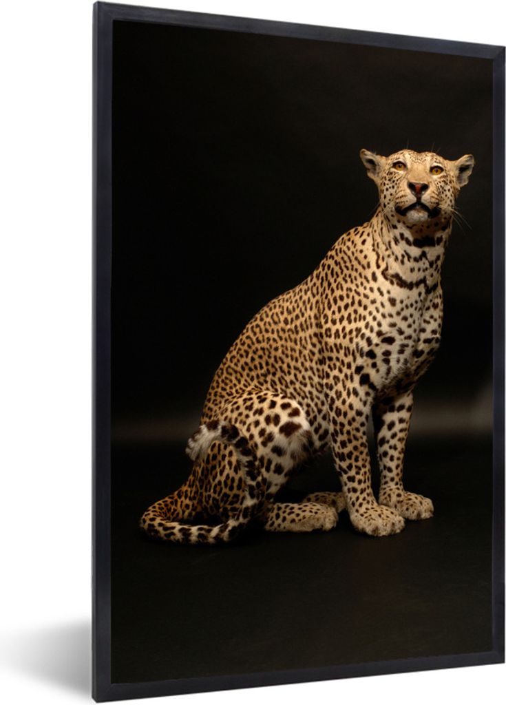 MuchoWow Gerahmtes Poster Leopard - Tiere - Fleck 40x60 cm - Poster mit Schwarzem Bilderrahmen Wandposter Rahmen Foto Bilder - Papierdruck - Wand...