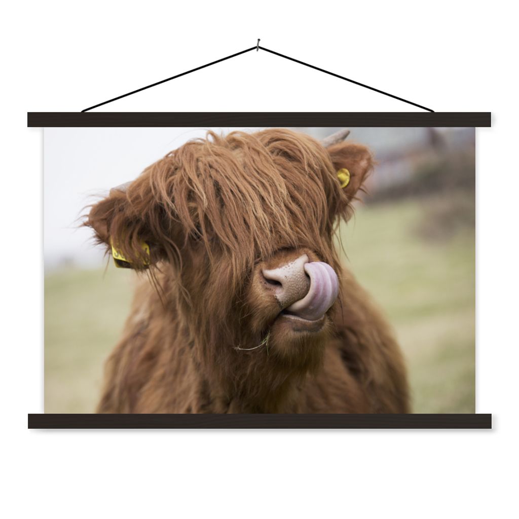 MuchoWow Textilposter Schottischer Highlander - Braun - Kuh 150x100 cm mit schwarzem Rahmen - Schlafzimmer