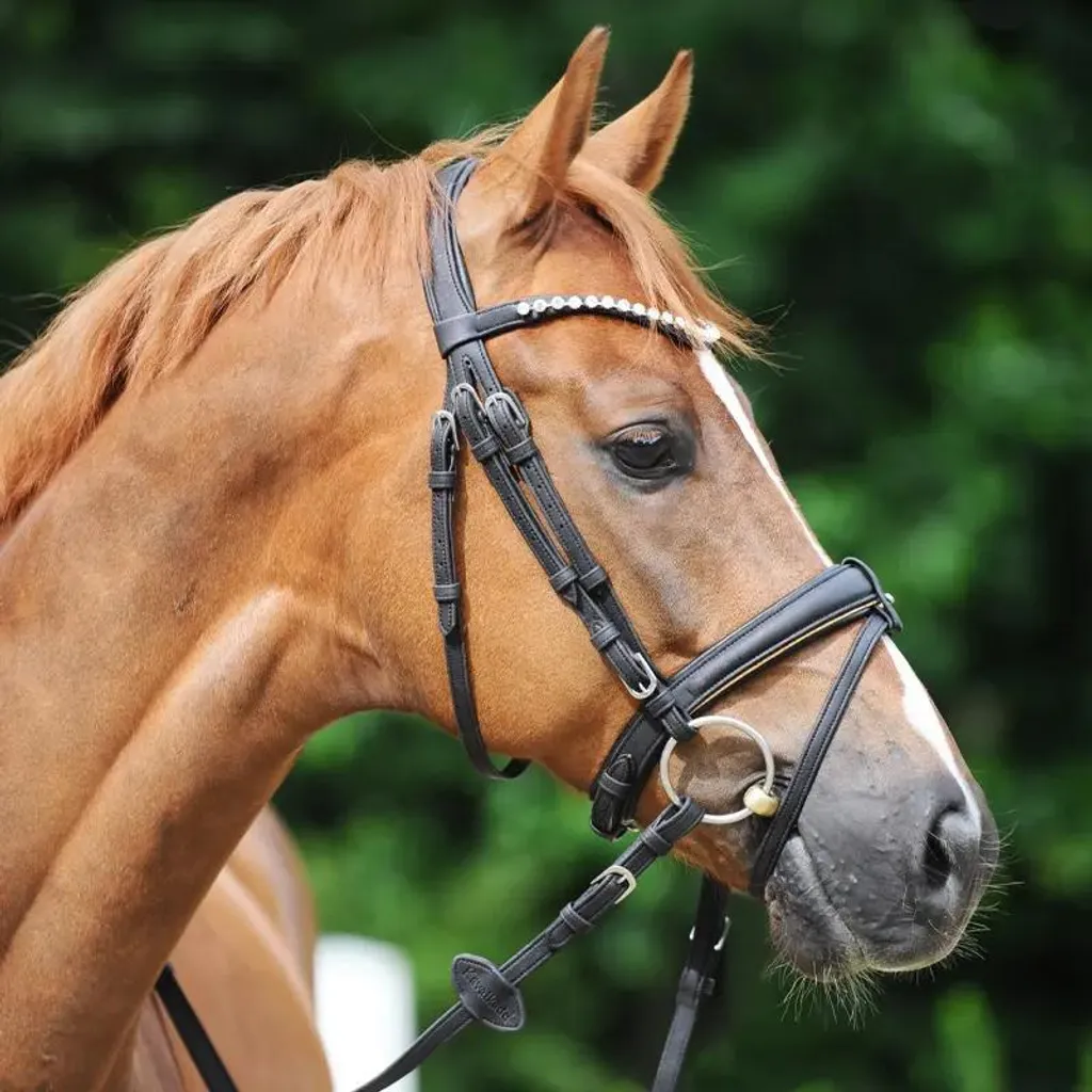 Filet cheval en liège Kavalkade Cortica végétalien avec muserolle mixte - 2