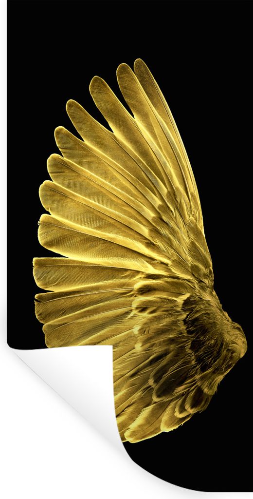 MuchoWow Wandtattoo Wandsticker Wandaufkleber Goldene Flügel auf schwarzem Hintergrund 20x40 cm Selbstklebend und Repositionierbar - Selbstklebe...