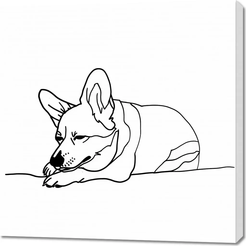 Quadro Corgi Addormentato 90x90 - Decorazione Parete Instagrammabile
