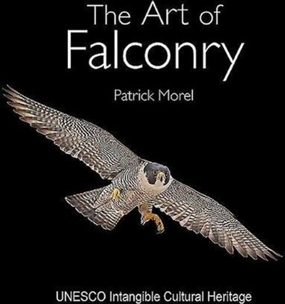 The Art of Falconry