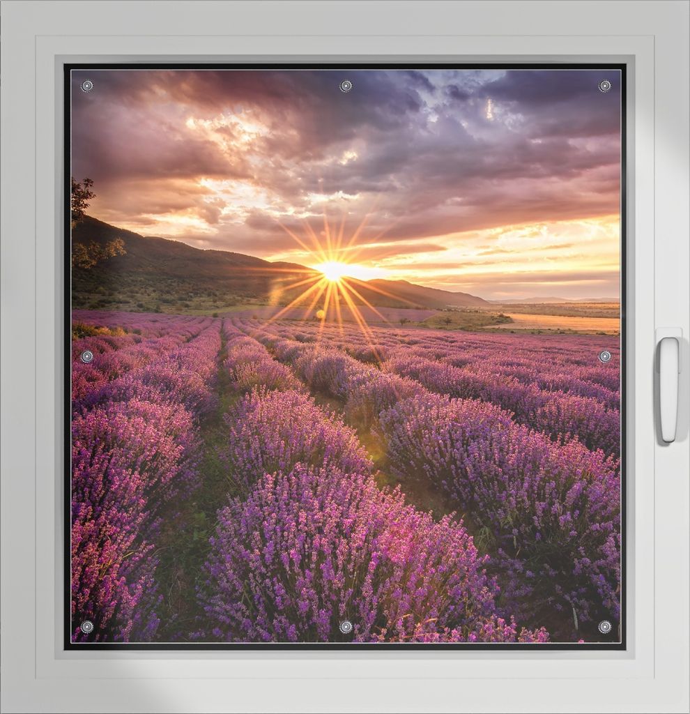 Wallario Lichtschutzbild, Dekorativer Sichtschutz Sonnenschutz 96 x 100 cm mit Motiv: Lavendelfeld bei Sonnenuntergang - Sonnenstrahlen - Verdunklu...