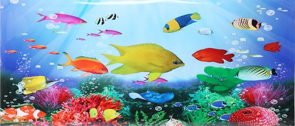 Sfondo Acquario 122x50 cm PVC Adesivo - Poster Effetto 3D Paesaggio