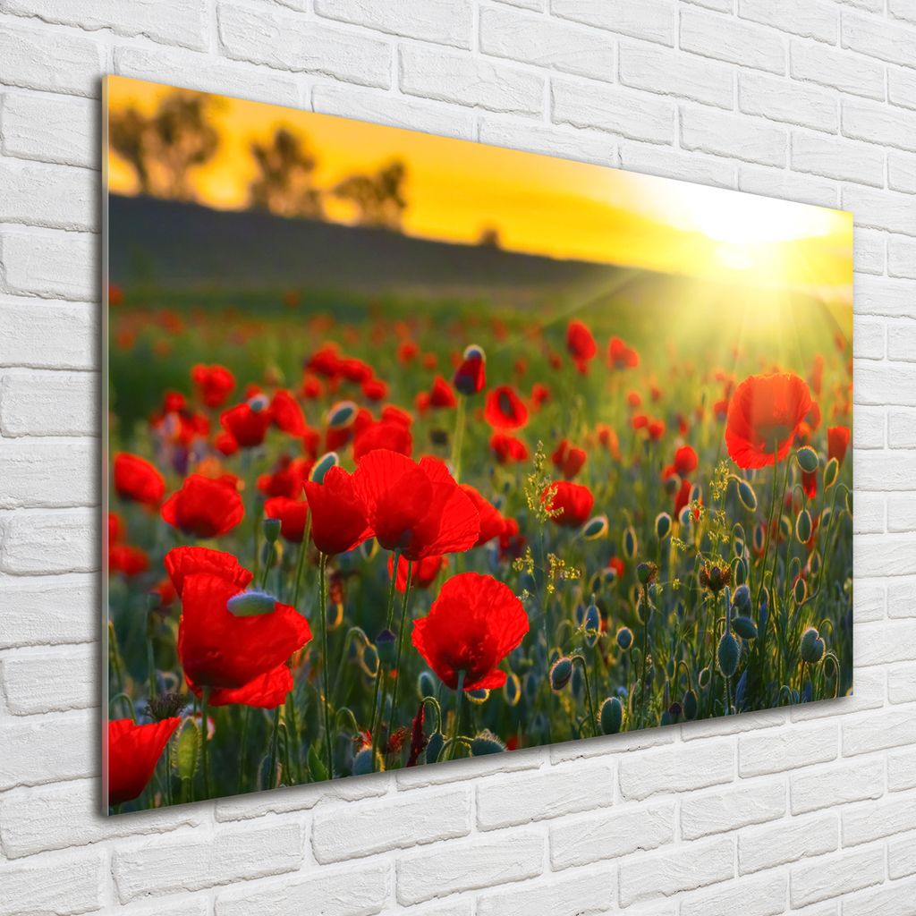Tulup Glas-Bild - 100 x 70 - Wandbild aus Glas - Wandkunst - Wandbild hinter gehärtetem Sicherheitsglas - Landschaften - Mohnfeld - Rot