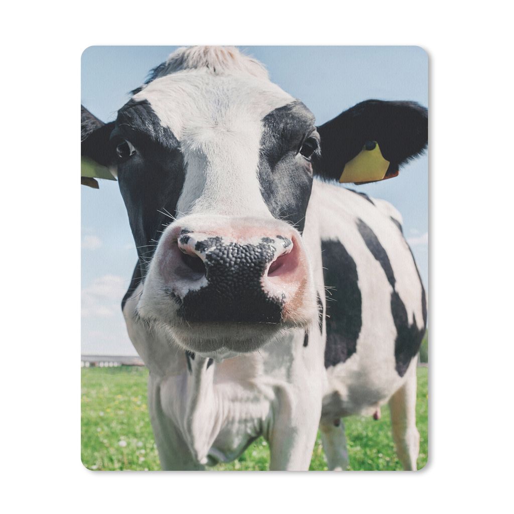 MuchoWow Mauspad Mousepad Kuh - Wiese - Natur - Tiere - Gras 19x23 cm - Mousepads - Maus Mat - Pad - Mausunterlage - Mauspads - Spielen