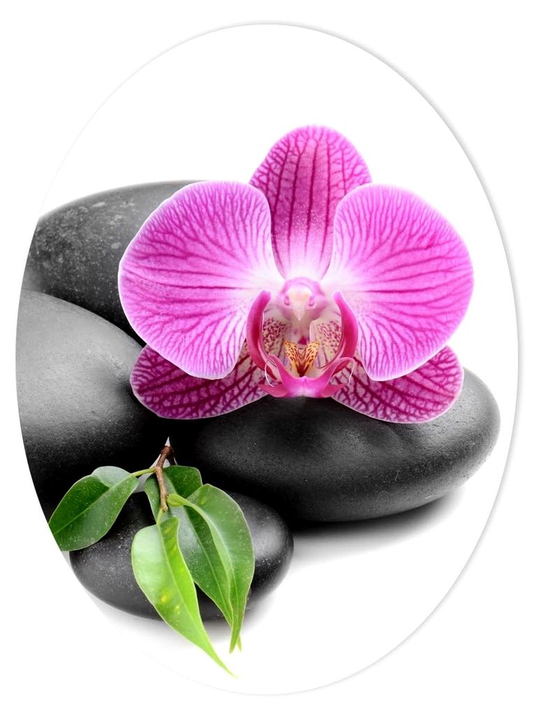 WC Aufkleber Orchidee für Deckel 30 x 40 cm