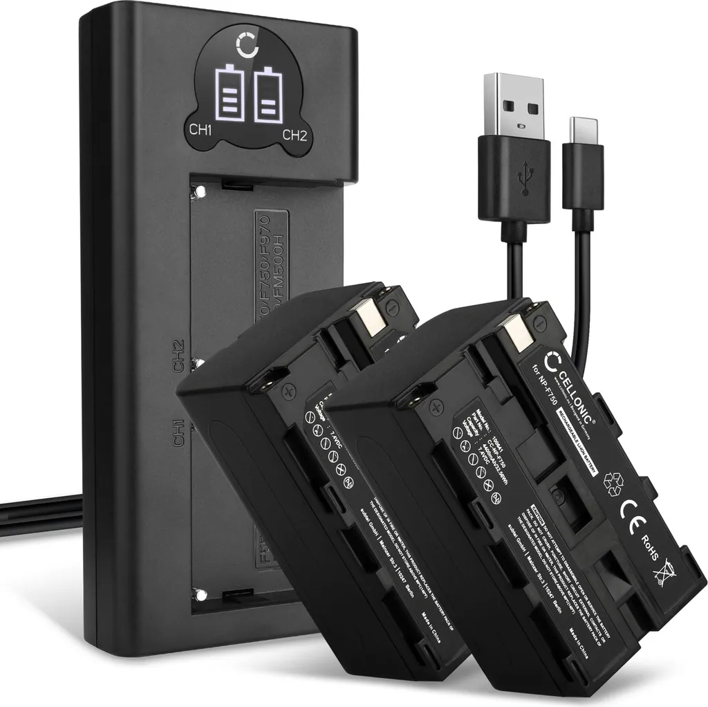 DSTE 2PCS NP-F330 NP-F550 NP-F570 (2900mAh/7.4V) Batteria Caricatore Compatibile per Sony NP-F970, NP-F750, TR716, TR818, TR910, TR917