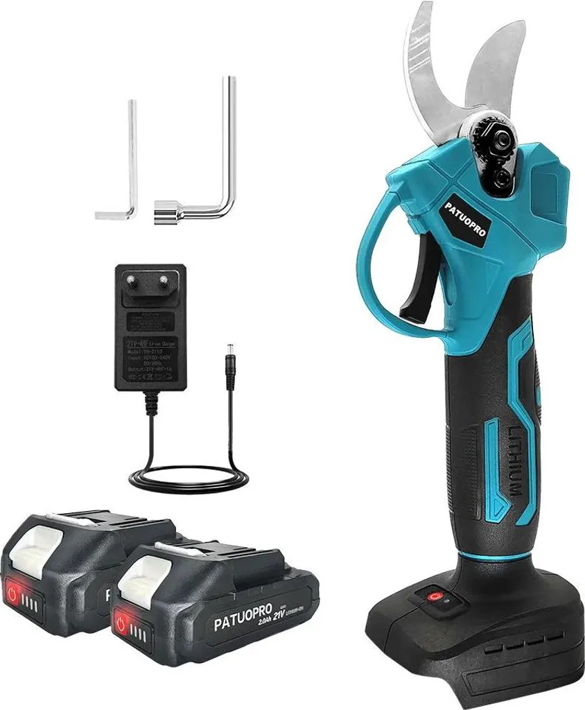 Potatore Elettrico Professionale 30mm Motore Brushless + 2 Batterie 2Ah