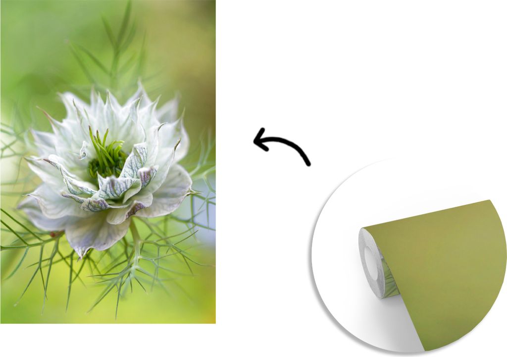 MuchoWow Fototapete für Wohnzimmer oder Schlafzimmer Wandtapete Vinyl Motivtapete Eine Nahaufnahme der Nigella - 190x280 cm - Küche