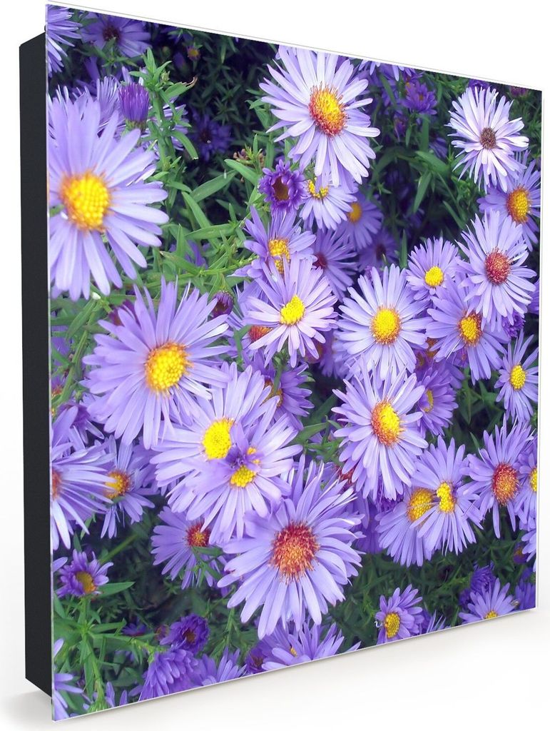 Nachbildung-Schlüsselkasten, Magnetpinnwand und Memoboard mit Glasfront Motiv Blüten in Lila