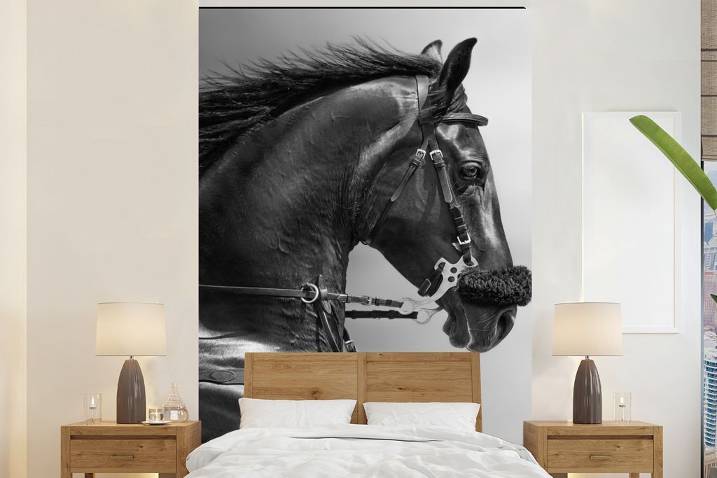 MuchoWow Fototapete für Wohnzimmer oder Schlafzimmer Wandtapete Vinyl Motivtapete Pferde - Schwarz - Porträt - Tiere - 195x300 cm - Das Hinterg...